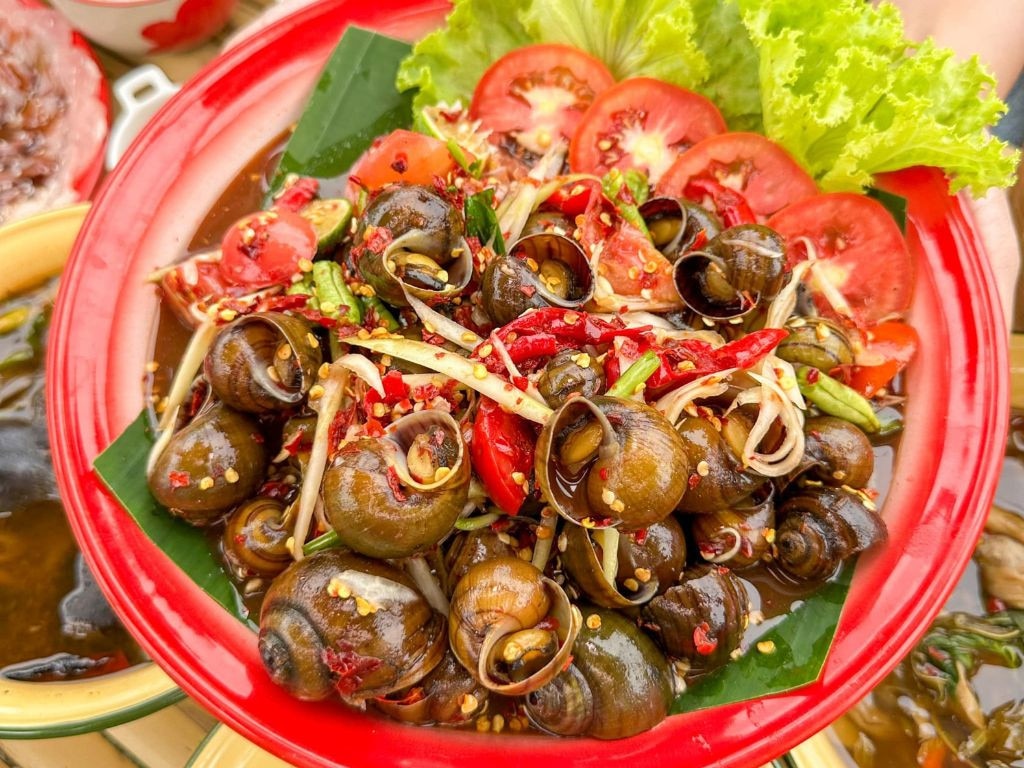 People can get infected by rat lungworm disease after eating raw snails or slugs. Picture: iStock/