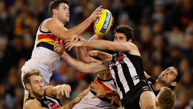 THE MARK OF THE MAN: One of Adelaide’s big improvers Mitch McGovern takes a screamer against Collingwood in round 19. Picture: (Michael Willson/AFL Media).