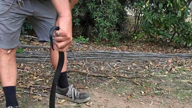 BEWARE: William Pledger of Wildlife Management Services, was called to relocate this red-bellied black snake from Wolvi State School on Wednesday. Picture: Contributed