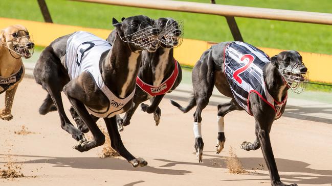 Greyhound Racing Victoria will trial morning meetings at Ballarat and Shepparton. Picture: AAP