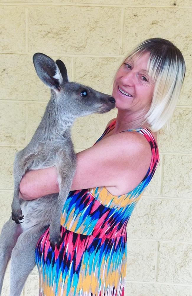 Albino kangaroo hugs a laughing American woman at a Perth wildlife park