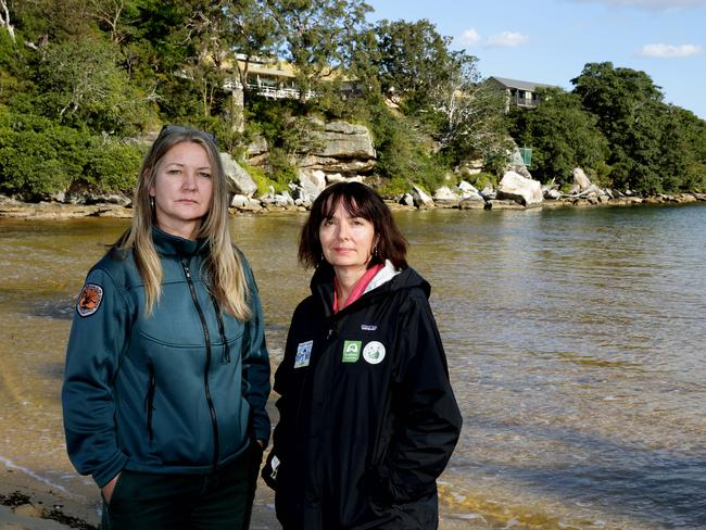 NPWS ranger Mel Tyas and penguin warden Sally Garman on Collins Flat where 26 penguins were killed by a fox. Picture: Annika Enderborg