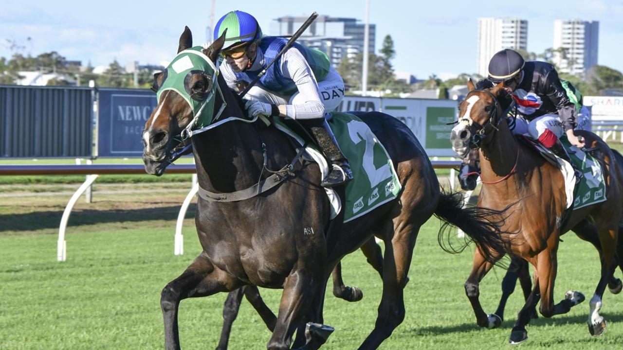 Poseidon Ruler looks a good chance at odds in the Midway at Rosehill. Picture: Bradley Photos