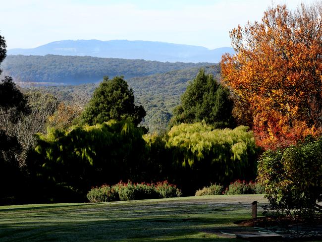 Simon O'Callaghan from Yarra Ranges Tourism said the council's proposed $5 million walk, which has been promised funding under a re-elected Liberal Government, will be a massive drawcard for the region.  View at Kalorama.Picture: Stuart Milligan