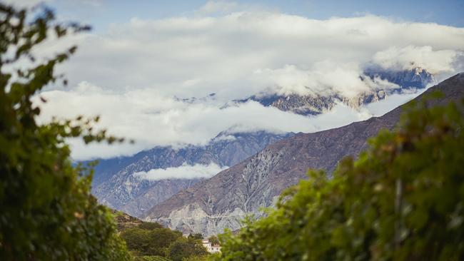 Vineyards in Shangri-La in Yunnan Province in China, where some of the grapes for the new Penfolds wine come from. Picture: Supplied