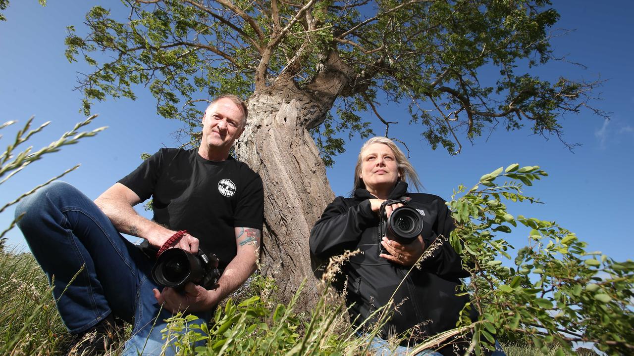 Keen photographers Chris Wilken and Margaret Metcalfe at the tree.