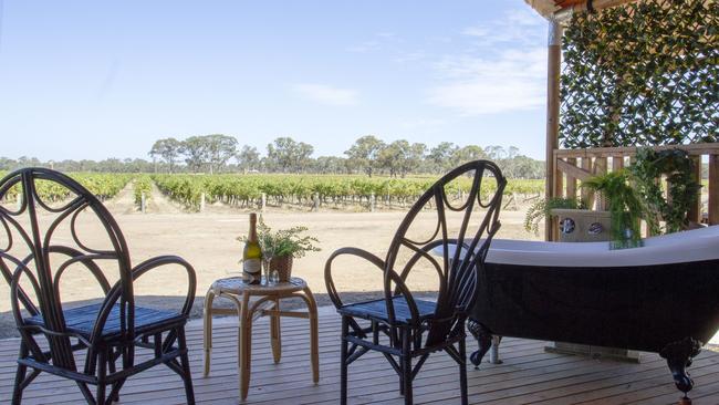 Looking across the vines from a Safari tent at Balgownie Estate.