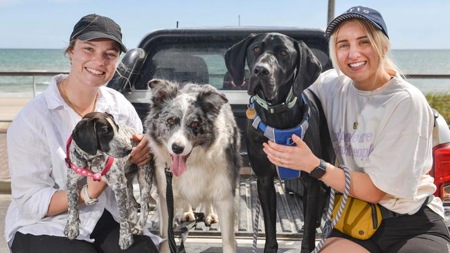 Leesa Flanagan of Ngapala and Phoebe Heinrich of Kidman Park with dogs Clifford, Lexi and Winnie. Picture: Brenton Edwards