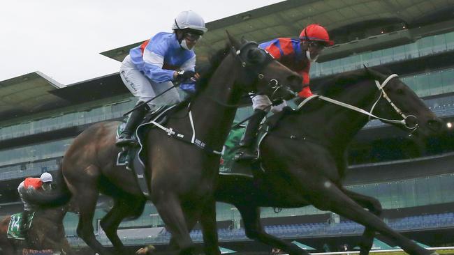 Riodini (light blue, white cap) looks well placed to win the Epsom with his light weight. Picture: Getty Images