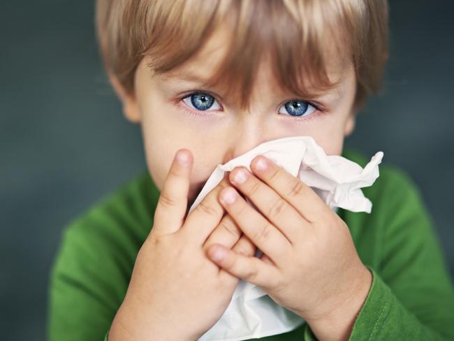 Cute sick boy aged 2 with runny nose tries to blow his nose.  ISTOCK IMAGE