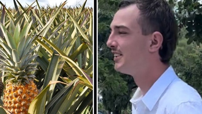 Caleb Mead, 20, pictured, told the court he had been working on the Maxwellsâ farm when the incident happened on August 1, 2022, when he was picking pineapples with other workers.