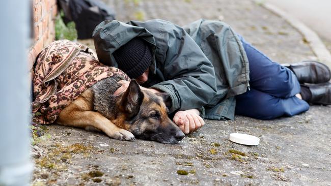 homeless man with his dog