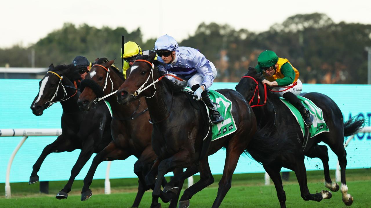 The Ray Thomas Blackbook: Five to follow from Rosehill