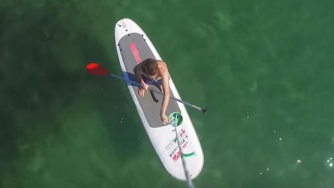 A paddleboarder gets a treat.