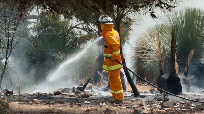 More than 24 million hectares were burnt in the 2019-2020 fire season. Picture: Sean McGowan.