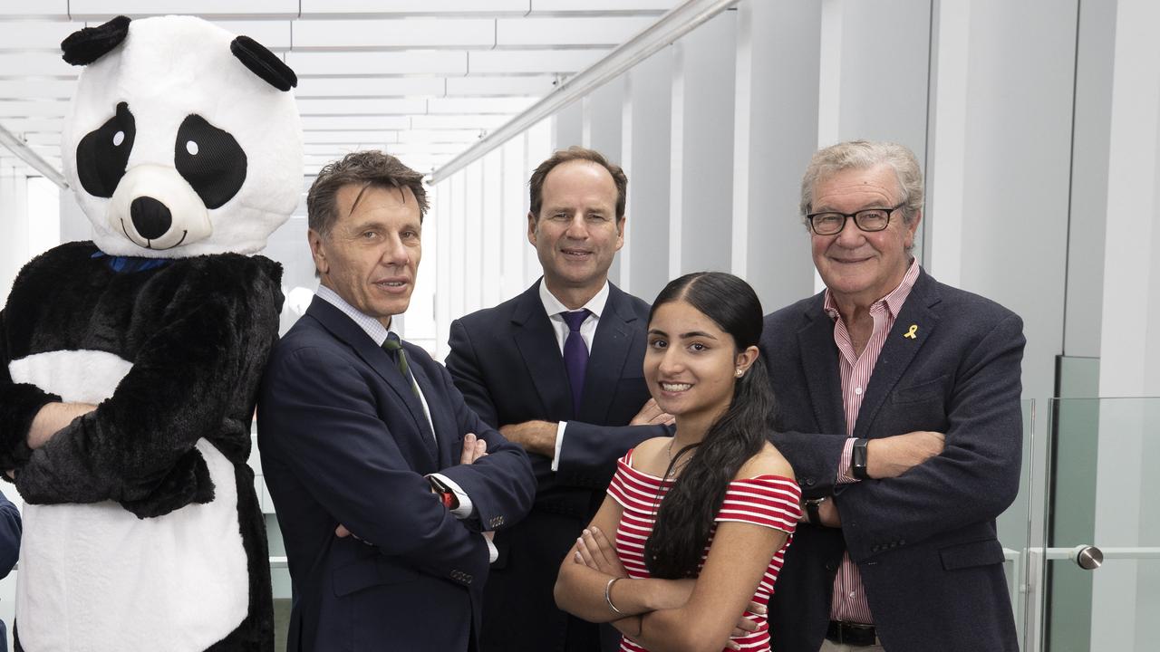 The Advertiser People’s Cabinet: Department Of Panda Efficiency, Paul Starick, Treasurer Adrian Tembel, Youth Minister Sargunpreet Kaur, Foreign Affairs, Climate Change and Energy Minister Alexander Downer. Picture: Brett Hartwig