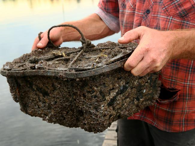 Brisbane Water estuary is considered to be a perfect growing environment for Akoya Pearls. Picture: AAP Image/Sue Graham