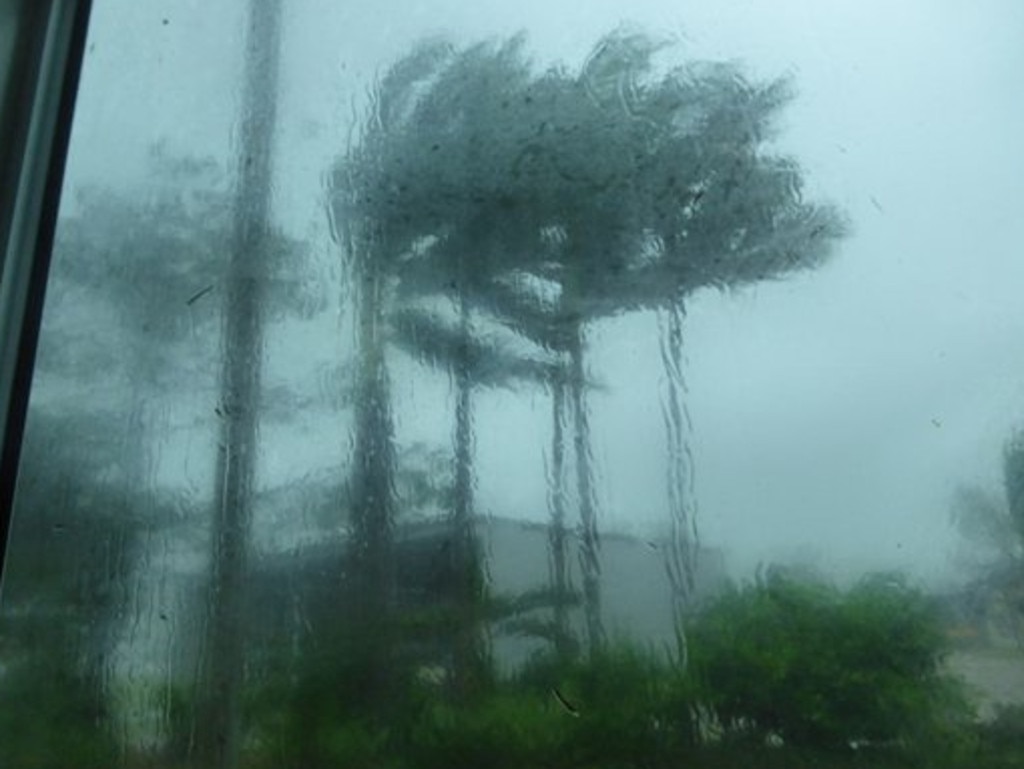 Trees buckle under the force of Cyclone Marcia - taken through the window of Ron and Helen Creed's home.