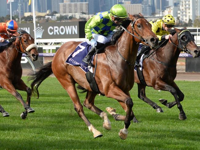 Wonder Boy ridden by Luke Currie wins the RDA Peninsula Jenny Stidston Sprint at Flemington Racecourse on June 08, 2024 in Flemington, Australia. (Photo by Ross Holburt/Racing Photos)