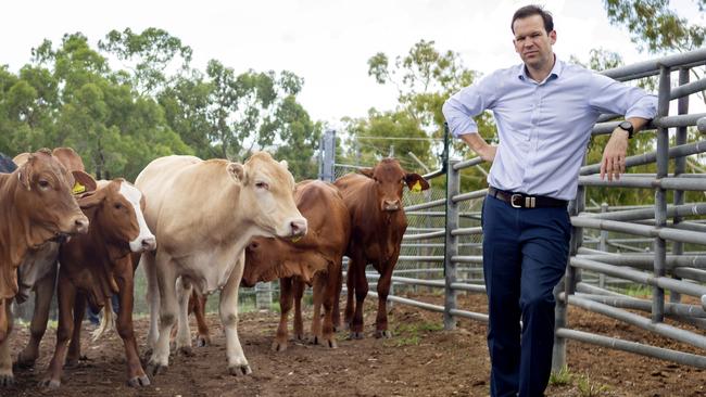 Senator Matt Canavan, in Rockhampton on Friday, says getting the best results for Queensland will always be his priority. Picture: Steve Vit