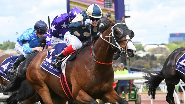 Soulcombe will likely miss this year’s Melbourne Cup after running second in the race last year. Picture: Pat Scala/Racing Photos via Getty Images