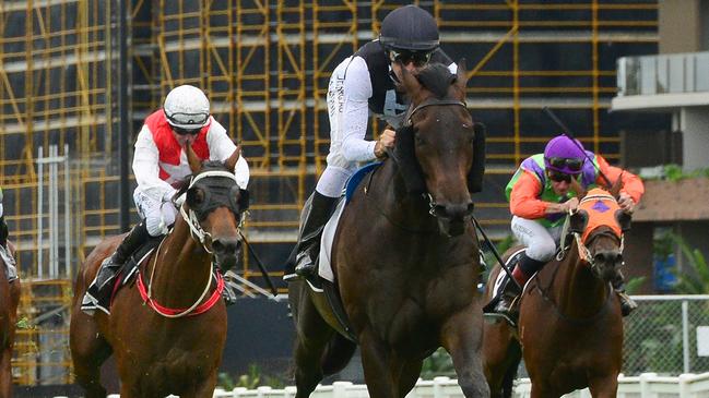 The Tony Gollan-trained galloper Palladas in full flight. Picture: Trackside Photography