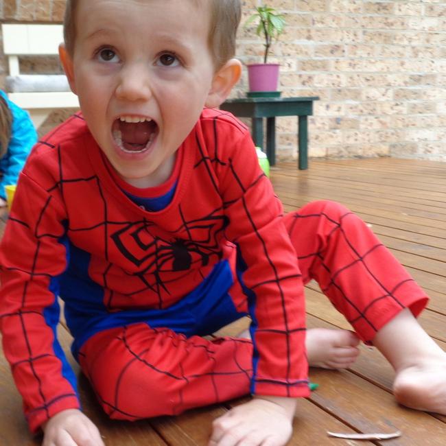 William Tyrrell in the Spiderman outfit he went missing in.