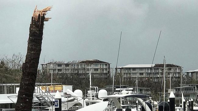 Smashed trees and ripped off roofs in Hamilton Island Marina. Picture: @jonkclements/Instagram