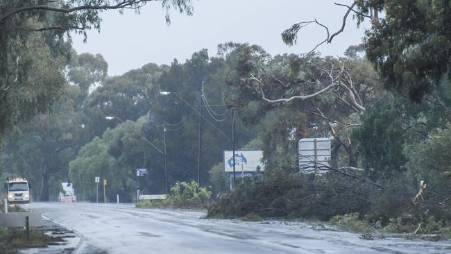 Trees down on Main North Rd between Kings and Frost roads. Picture: Roy VanDerVegt