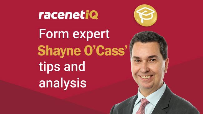 Racenet form analyst Shayne O'Cass.