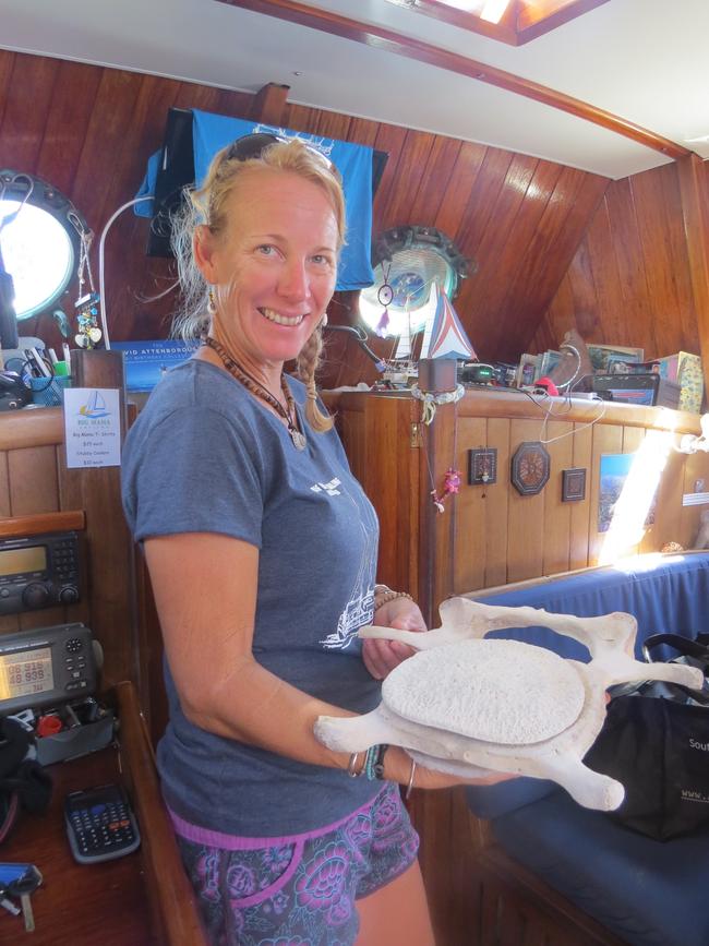 Lisa Sampson shows off humpback whale bones found in the Palm Islands.