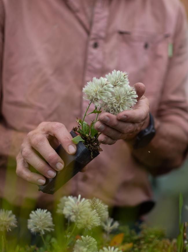 Tim Jarvis during a tour of the rewilding project on his Fleurieu Peninsula land. Picture: Brett Hartwig