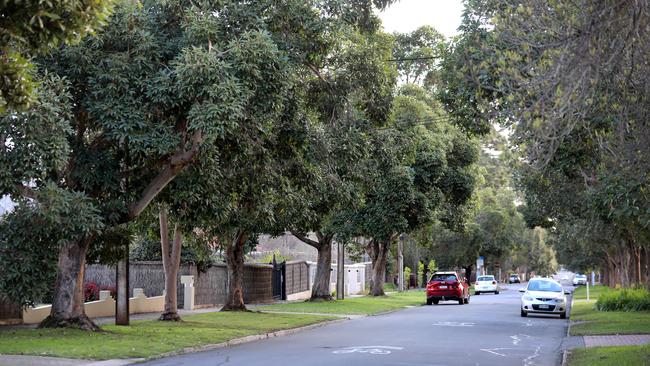 Statenborough St, Leabrook. Picture Dean Martin