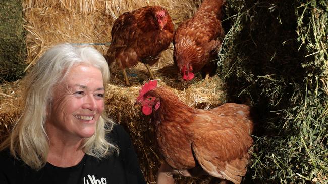 Who gives a cluck? Julie O'Shea, known as the 'crazy hen lady'. Picture Glenn Hampson