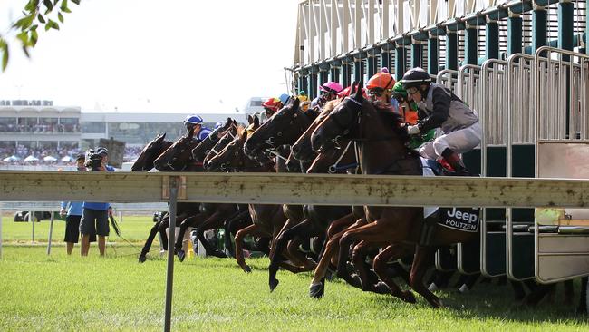 A great day was had by all at Magic Millions. Picture: Mike Batterham