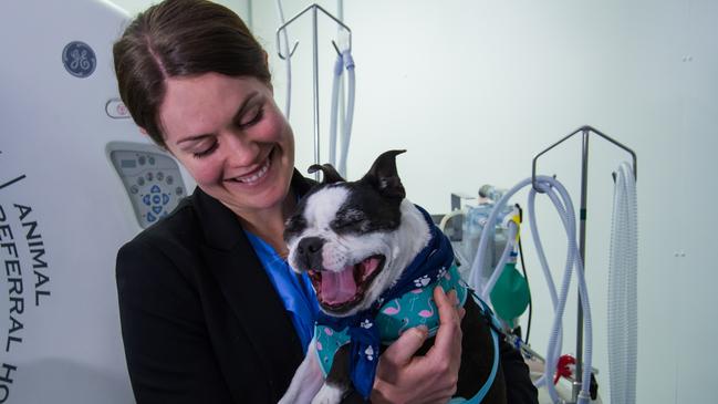 Bronwyn Orr, past president of the Australian Veterinary Association. The split in what was once a male-dominated profession is now 40 per cent male to 60 per cent women.