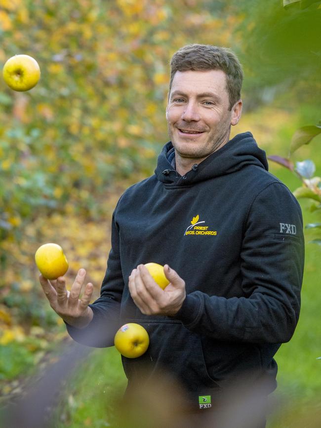 For more than 100 years, the Priest family has grown and harvested fruit at their Pakenham-based orchard. Since 2017, the family has also grown Yello apples for Montague. Picture: Zoe Phillips