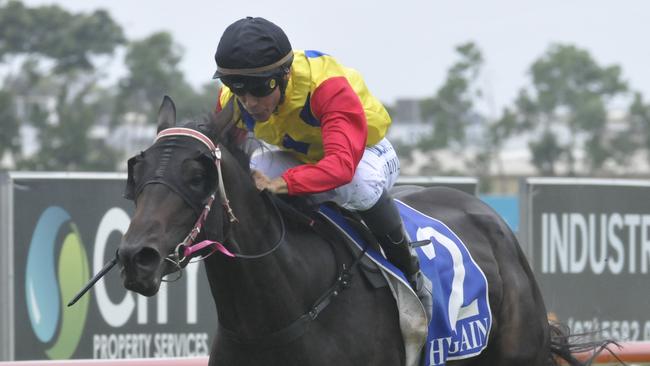 Gorada wins for jockey Shannon Doyle at the Gold Coast on January 21. Photo: Jessica Hawkins/Trackside Photography