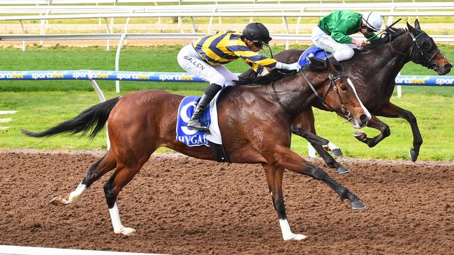 Dundancer arrived on time to win at Pakenham last start. Picture: Pat Scala–Racing Photos via Getty Images