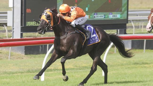 Devil Rider is looking to make it back-to-back wins when he heads to Newcastle. Picture: Bradley Photos