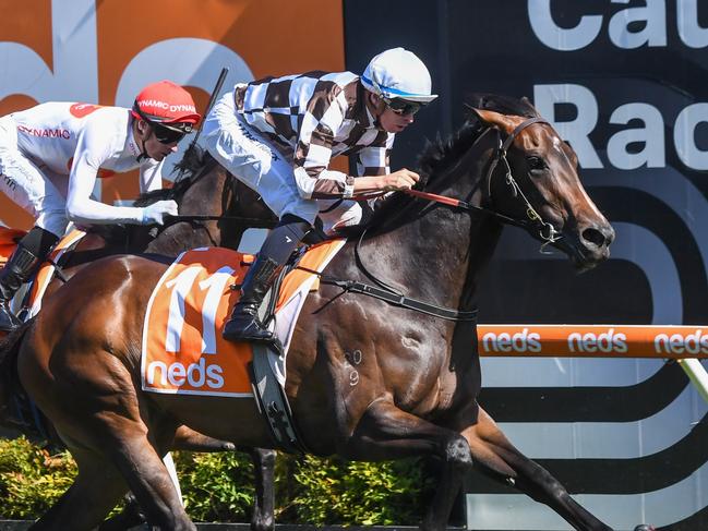 Magic Time ridden by Michael Dee wins the Neds Sir Rupert Clarke Stakes at Caulfield Racecourse on November 18, 2023 in Caulfield, Australia. (Photo by Pat Scala/Racing Photos via Getty Images)