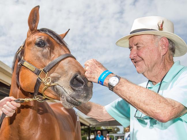 John Kelly with the horse he bought for $2m at the Magic Millions. Pictuer by Luke Marsden.