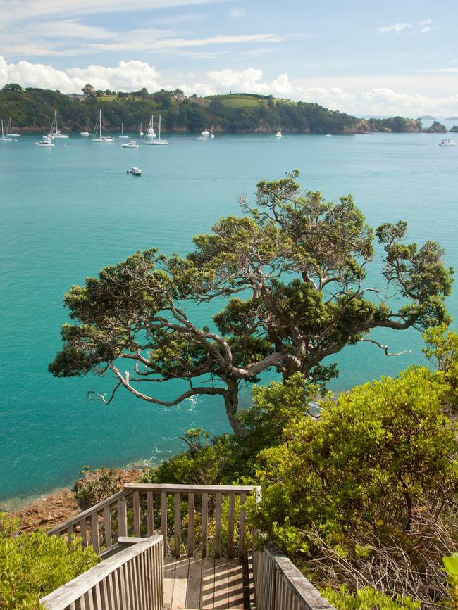 Waiheke Island scenery.