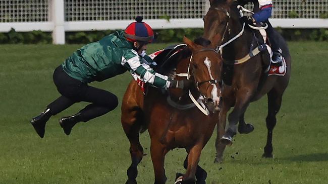 James McDonald is thrown off Via Sistina during a trackwork gallop at The Valley on Tuesday morning. Picture: Michael Klein