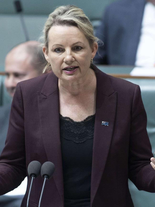 Environment Minister Sussan Ley. Picture: NCA NewsWire / Gary Ramage