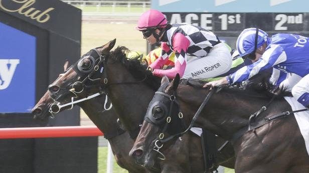 Silent Russian (pink cap) will appreciate a drop in grade and can bounce back to winning form. Picture: Bradley Photos