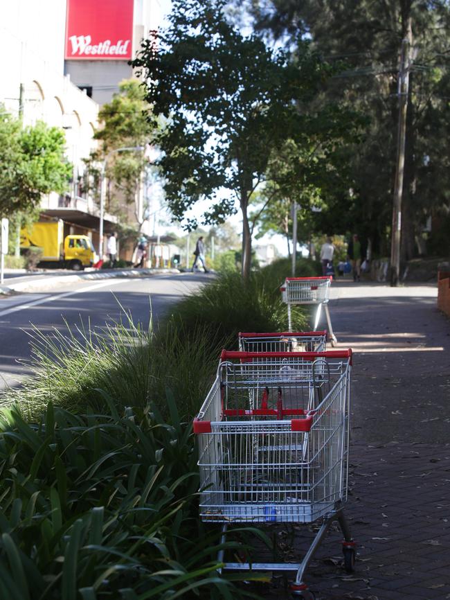 Trolleys left outside small businesses and on pathways.