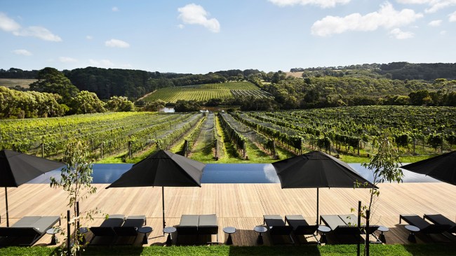 The view of the vines from Rare Hare at Jackalope on the Mornington Peninsula. Picture: Visit Victoria