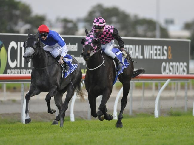 Grobbelaar won Class 1 Sprintquip Handicap (1400m) on the Gold Coast on Saturday, September 17. Picture credit: Jessica Hawkins, Trackside Photography.