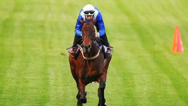 Winx gallops down The Valley straight with Hugh Bowman on board. Picture: Getty Images